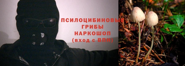 твердый Абаза