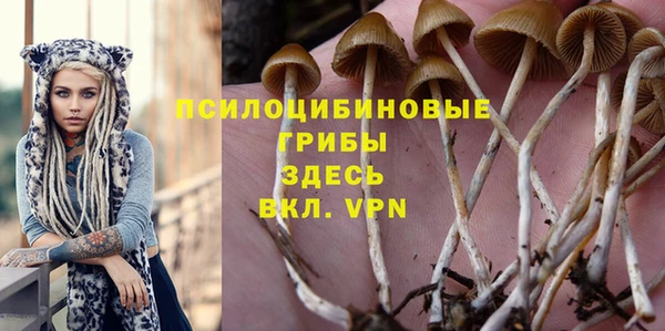 ECSTASY Абдулино