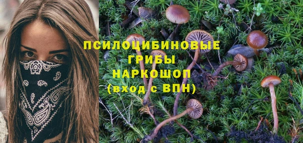 твердый Абаза