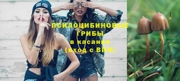 твердый Абаза