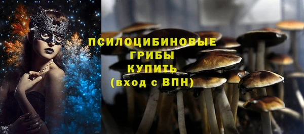 ECSTASY Абдулино